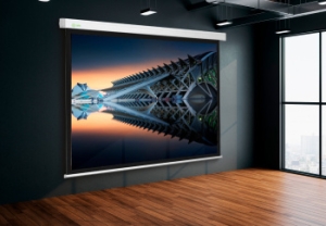  Cactus 187x332 Wallscreen CS-PSW-187x332 16:9 -  