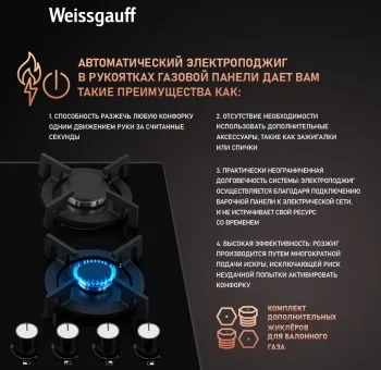    WEISSGAUFF HG 640 BGV
