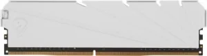   Netac Shadow S 8GB DDR4-2666 (PC4-21300) C19 White 19-19-19-43 1.2V Memory module (DIM
