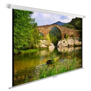  Cactus 220x165 WallExpert CS-PSWE-220x165-WT 1:1 -  
