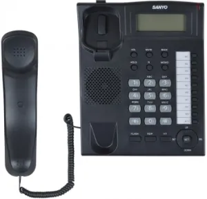   SANYO RA-S517B