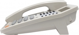  RITMIX RT-495 white