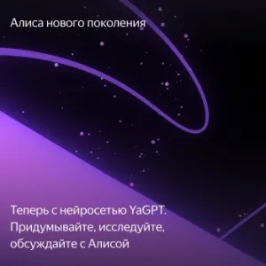         YNDX-00055BIE
