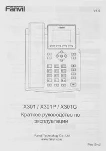  IP Fanvil X301 
