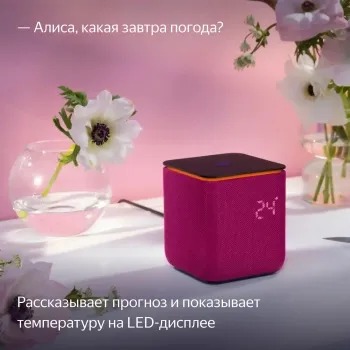  Yandex     24W 1.0 BT/Wi-Fi 10 (YNDX-00054PNK)