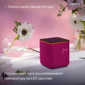  Yandex     24W 1.0 BT/Wi-Fi 10 (YNDX-00054PNK)