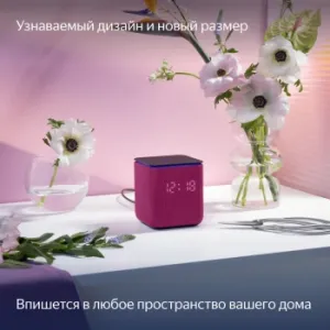   Yandex     24W 1.0 BT/Wi-Fi 10 (YNDX-00054PNK)