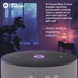   Yandex   3   12W 1.0 BT/Wi-Fi (YNDX-00027GRY)
