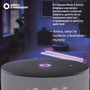   Yandex   3   12W 1.0 BT/Wi-Fi (YNDX-00027GRY)