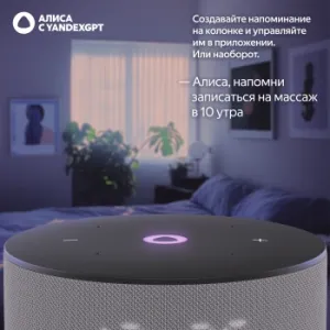   Yandex   3   12W 1.0 BT/Wi-Fi (YNDX-00027GRY)