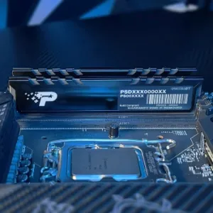  DDR5 8GB 5200MHz Patriot PSP58G520081H1 Signature Premium RTL PC5-41600 CL42 DIMM 288-pin 1.1