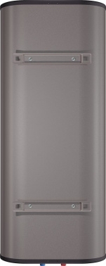  Thermex Fora 100 2 100  /
