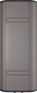  Thermex Fora 100 2 100  /
