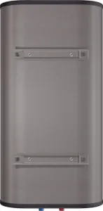  Thermex Fora 50 2 50  /