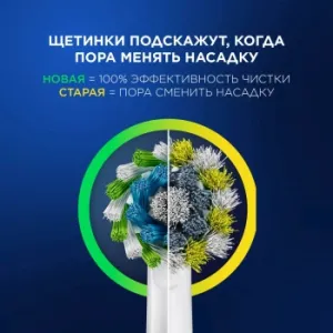    Oral-B Vitality Pro 80813151 