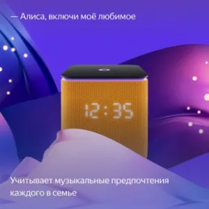   Yandex     24W 1.0 BT/Wi-Fi 10 (YNDX-00054ORG)