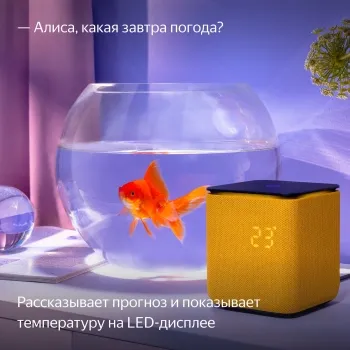   Yandex     24W 1.0 BT/Wi-Fi 10 (YNDX-00054ORG)