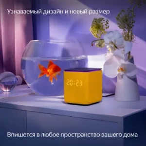   Yandex     24W 1.0 BT/Wi-Fi 10 (YNDX-00054ORG)