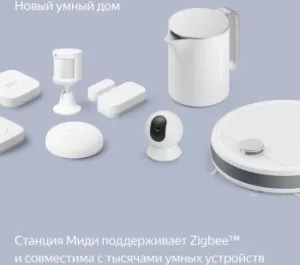   Yandex     24W 1.0 BT/Wi-Fi 10 (YNDX-00054ORG)