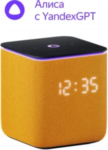   Yandex     24W 1.0 BT/Wi-Fi 10 (YNDX-00054ORG)