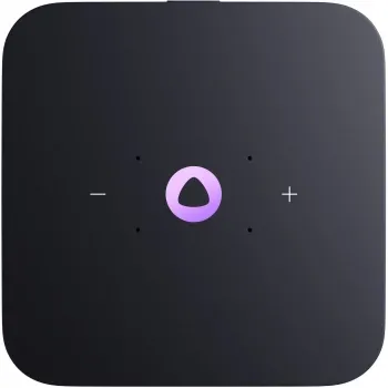   Yandex     24W 1.0 BT/Wi-Fi 10 (YNDX-00054ORG)