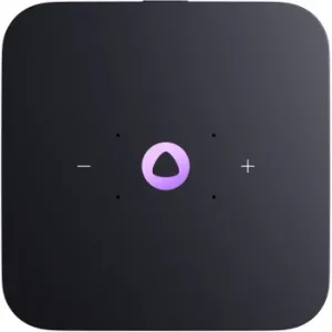   Yandex     24W 1.0 BT/Wi-Fi 10 (YNDX-00054ORG)