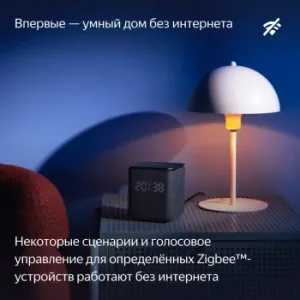   Yandex     24W 1.0 BT/Wi-Fi 10 (YNDX-00054ORG)