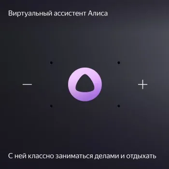   Yandex     24W 1.0 BT/Wi-Fi 10 (YNDX-00054ORG)