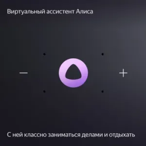   Yandex     24W 1.0 BT/Wi-Fi 10 (YNDX-00054ORG)