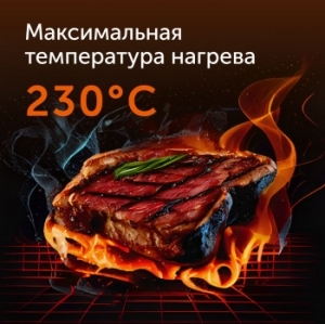  Red Solution SteakPRO RGM-M816P 2100 /