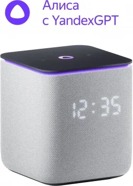   Yandex     24W 1.0 BT/Wi-Fi 10 (YNDX-00054GRY)