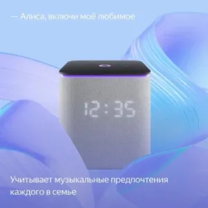   Yandex     24W 1.0 BT/Wi-Fi 10 (YNDX-00054GRY)