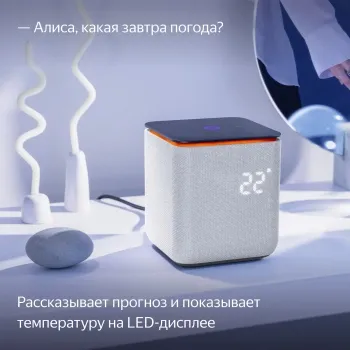   Yandex     24W 1.0 BT/Wi-Fi 10 (YNDX-00054GRY)