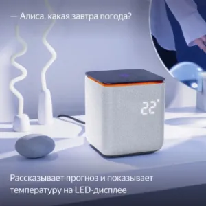   Yandex     24W 1.0 BT/Wi-Fi 10 (YNDX-00054GRY)