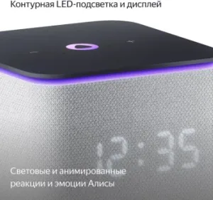   Yandex     24W 1.0 BT/Wi-Fi 10 (YNDX-00054GRY)