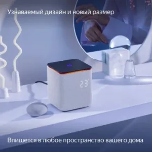   Yandex     24W 1.0 BT/Wi-Fi 10 (YNDX-00054GRY)