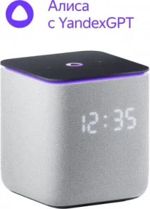   Yandex     24W 1.0 BT/Wi-Fi 10 (YNDX-00054GRY)