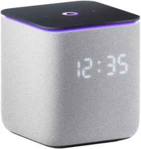   Yandex     24W 1.0 BT/Wi-Fi 10 (YNDX-00054GRY)
