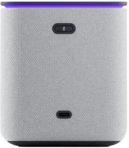   Yandex     24W 1.0 BT/Wi-Fi 10 (YNDX-00054GRY)
