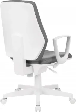   CH-W545  38-404    