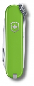   Victorinox Classic Smashed Avocado (0.6223.43G) 58 7. .