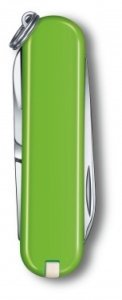   Victorinox Classic Smashed Avocado (0.6223.43G) 58 7. .